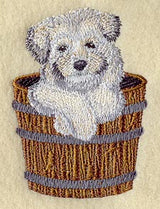 Havanese Puppy & Bucket