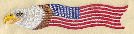 Eagle & Flag Banner