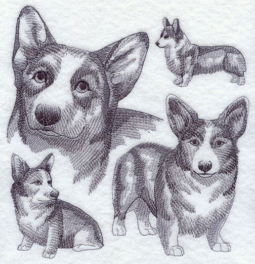 Pembroke Welsh Corgi Sketch