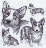 Pembroke Welsh Corgi Sketch