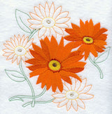 Sweet Daisy Medley