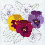 Sweet Pansy Medley