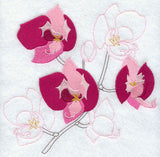 Sweet Orchid Medley