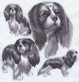 Cavalier King Charles Spaniel Sketch
