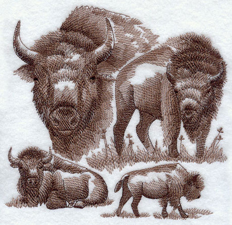 Buffalo Sketch