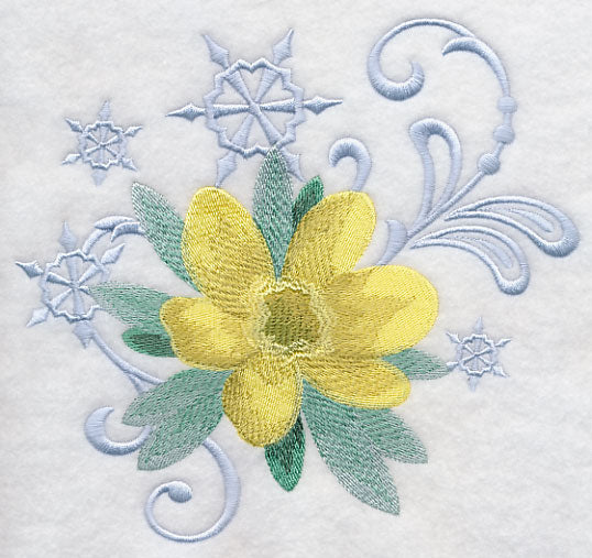 Winter Aconite and Snowflake Echo