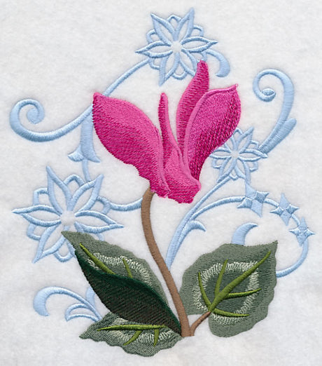 Cyclamen and Snowflake Echo