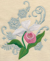 Lady's Slipper and Snowflake Echo