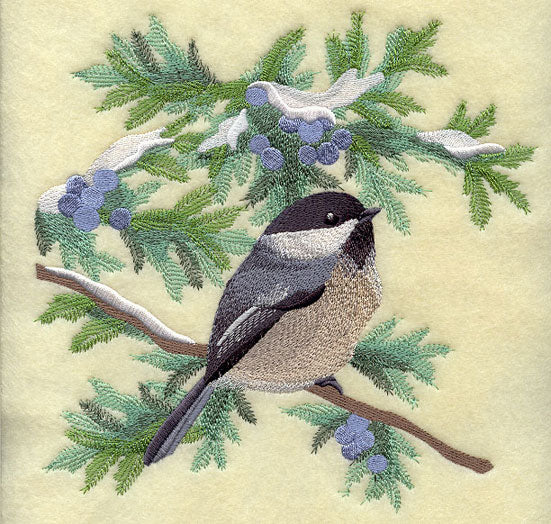 Chickadee in Juniper Boughs and Berries Square