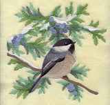 Chickadee in Juniper Boughs and Berries Square