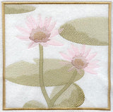 Water Lily Soft Shadow Square
