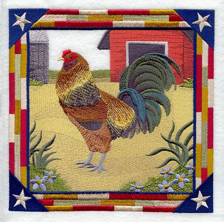 Ameraucana Rooster Square