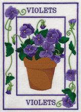 Potted Violets Medley