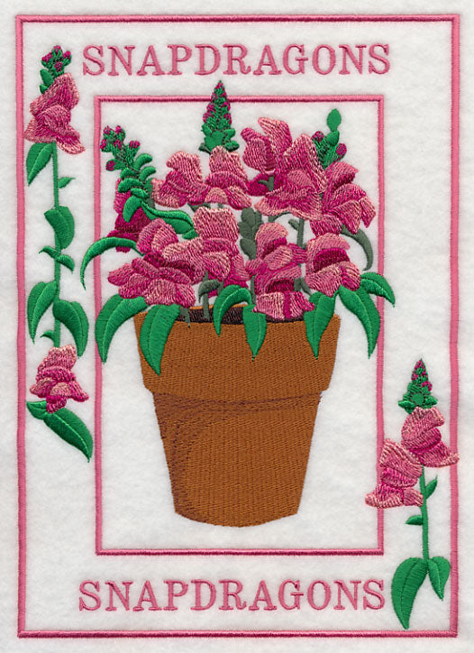 Potted Snapdragons Medley