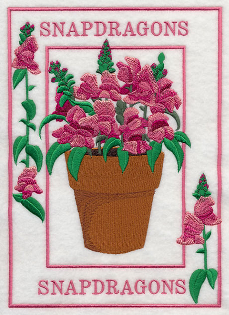 Potted Snapdragons Medley