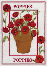 Potted Poppies Medley