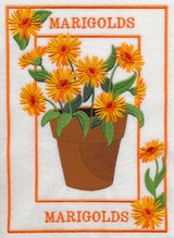 Potted Marigolds Medley