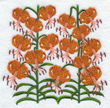 Tiger Lily Square