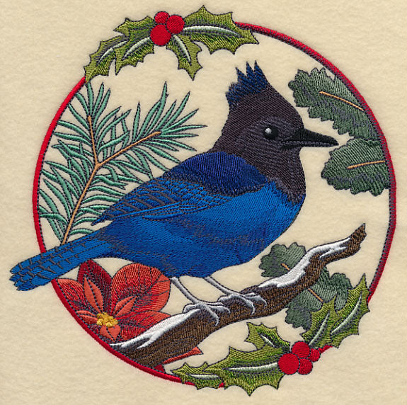 Steller's Jay in Christmas Blooms