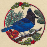 Steller's Jay in Christmas Blooms