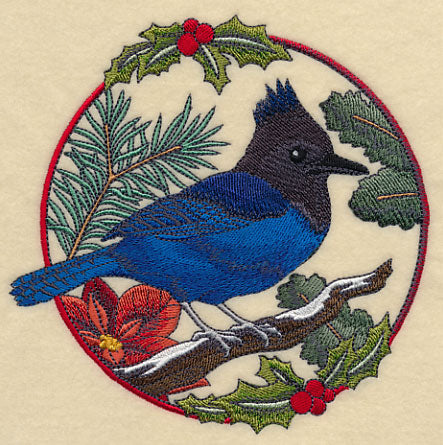 Steller's Jay in Christmas Blooms