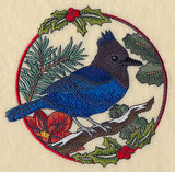 Steller's Jay in Christmas Blooms