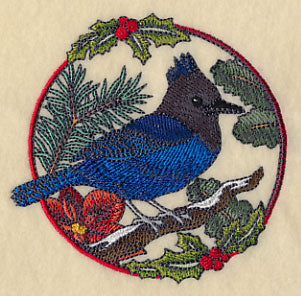 Steller's Jay in Christmas Blooms