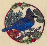 Steller's Jay in Christmas Blooms