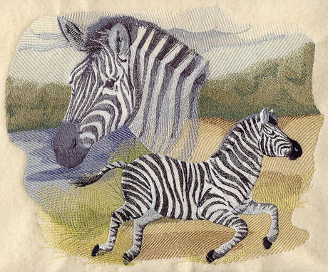 Spirit of the Zebra