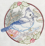 Steller's Jay in Christmas Blooms (Vintage)