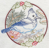 Steller's Jay in Christmas Blooms (Vintage)
