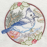 Steller's Jay in Christmas Blooms (Vintage)