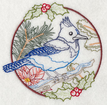 Steller's Jay in Christmas Blooms (Vintage)