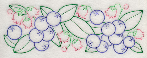 Bursting Blueberry Border (Vintage)