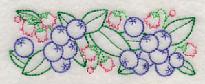 Bursting Blueberry Border (Vintage)