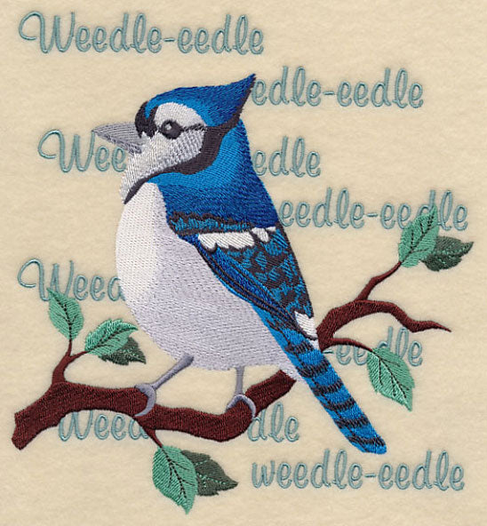 Blue Jay Song