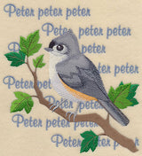 Tufted Titmouse Song