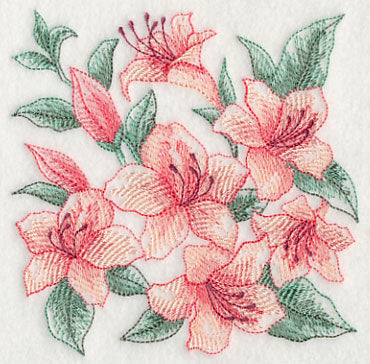 Azalea Sketch
