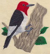 Red-headed Woodpecker