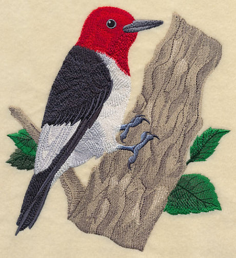 Red-headed Woodpecker