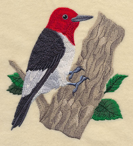 Red-headed Woodpecker