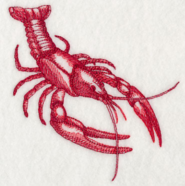 Crawfish Sketch