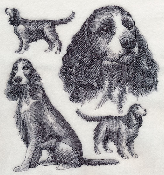 English Springer Spaniel Sketch (Full Tail)