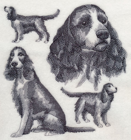 English Springer Spaniel Sketch (Full Tail)
