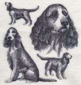 English Springer Spaniel Sketch (Full Tail)