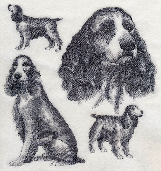 English Springer Spaniel Sketch (Docked Tail) – Embroidery Library