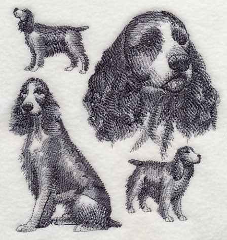 English Springer Spaniel Sketch (Docked Tail)