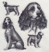 English Springer Spaniel Sketch (Docked Tail)