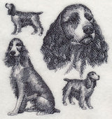English Springer Spaniel Sketch (Docked Tail)