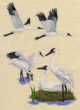 Whooping Crane Collage